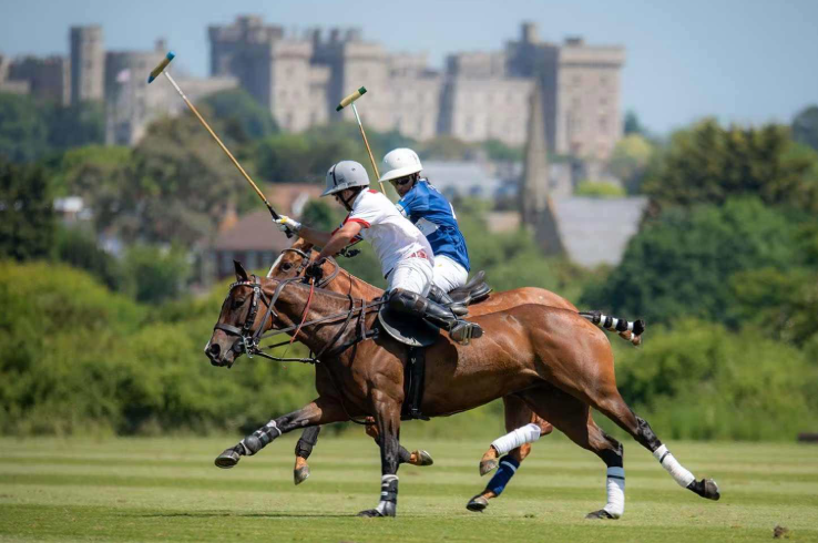 Polo Match